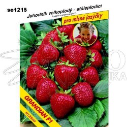 Jahodník GRANDIAN F1